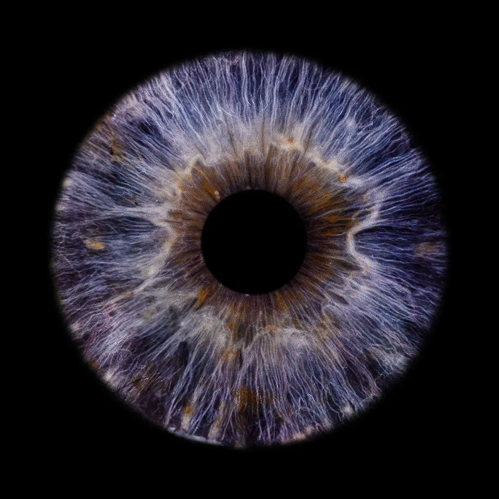 Dieses Irisbild zeigt die einzigartige Struktur eines blauen Auges aufgenommen bei einem Shooting in der Nähe von Schleswig